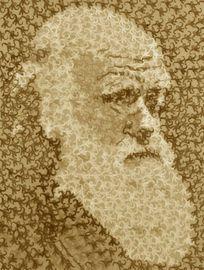 Artwork - Charles Darwin Monkey Boy