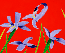 Purple Irises on Red