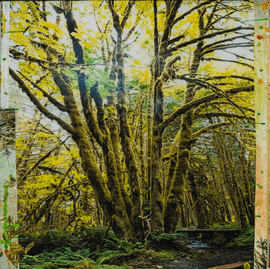 Artwork - Mossy Abandon