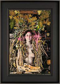 Artwork - The Gaia Suite