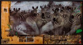 Artwork - Zebras Unique Two