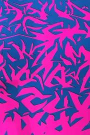 Artwork - Alphabet Aerobics (Pink and Blue)