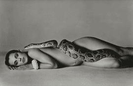 Artwork - Nastassja Kinski and the Serpent