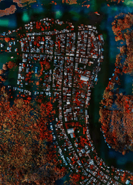 Artwork - Flooded Municipality, Amazonas