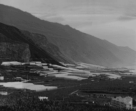 Artwork - Terraforms