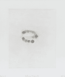 Artwork - Nature-Media III