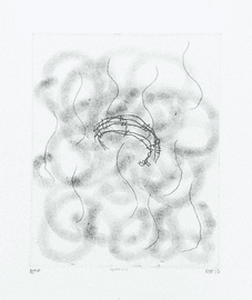 Artwork - Nature-Media II
