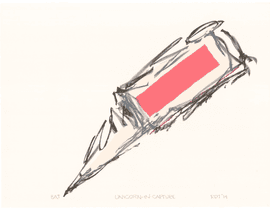 Artwork - Unicorn-In-Capture