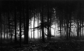 Artwork - Forest of Doxa