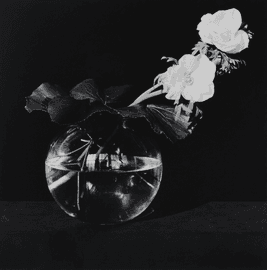 Artwork - Anemone (Flower)