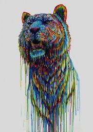 Artwork - Hear Me Roar