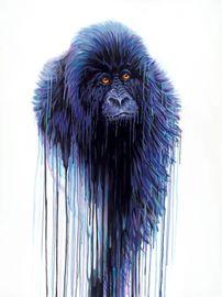 Virunga