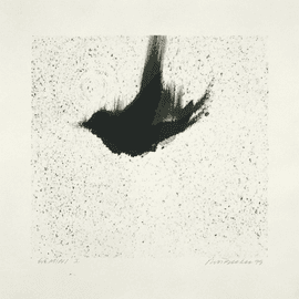 Artwork - Single Bird