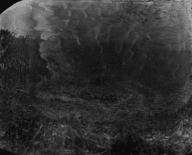 Artwork - Battlefields, Antietam  #18 (Cornfield)