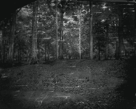 Artwork - Landscape #27 (from the Battlefield)