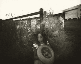 Artwork - Yard Eggs