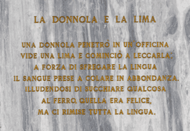 Artwork - La Donnola e La Lima 