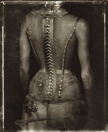 Anatomie I