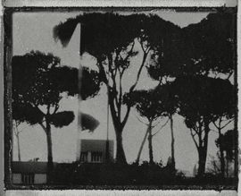 Artwork - Cinecitta