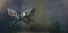 Artwork - The Butterfly Kiss (Black)