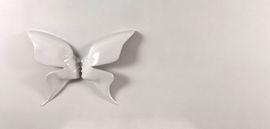 Artwork - The Butterfly Kiss (White)
