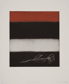 Artwork - White Rose Red