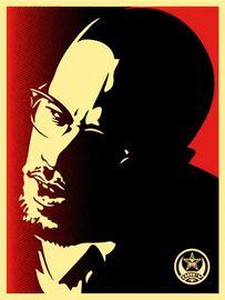 Artwork - Malcolm X (Red)