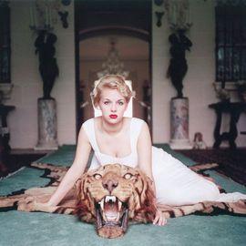 Artwork - Beauty and the Beast (Medium)