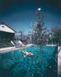Artwork - Christmas Swim (Medium)