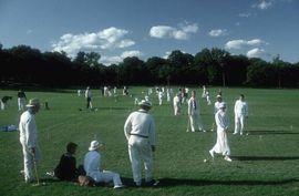 Artwork - Farfield Croquet (Large)