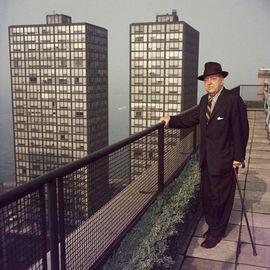 Artwork - Mies in Chicago (Medium)