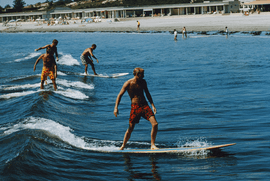 Artwork - Surfing Brothers (Large)