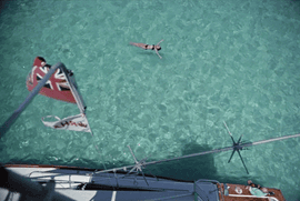 Artwork - Swimming In Bermuda, 1977 (Small)