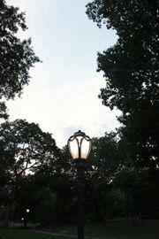 Artwork - Light Symphony