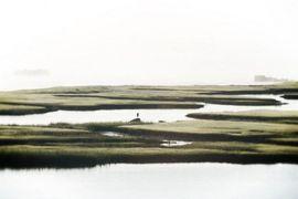 Artwork - Massachusetts Mist