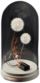 https://cdn.fairart.io/thumbnail_Studio_Drift_DANDELIGHT_Hope_1_9545c14d1a.png - 0