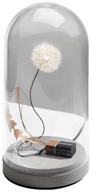 https://cdn.fairart.io/thumbnail_Studio_Drift_DANDELIGHT_With_Dome_1_559a416da4.png - 0