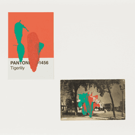 Pantone Pair (Tigerlily)