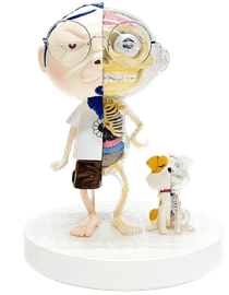 Artwork - POM & Me Anatomical Model