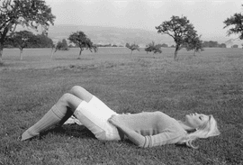 Brigitte Bardot Lying on the Grass