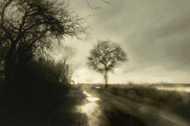 Artwork - 12159-0146