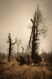 Artwork - Untitled #12166-9601