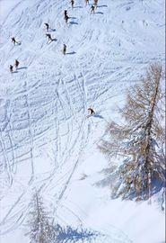 Artwork - A Group Of Skiers On The Piste