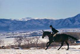 Artwork - A Horse Ride In The Snow