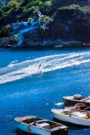 Artwork - Acapulco Waterskier