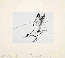 https://cdn.fairart.io/thumbnail_Tracey_Emin_About_To_Fly_1_a8f70fe27c.jpg - 0