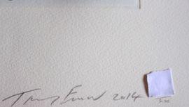 https://cdn.fairart.io/thumbnail_Tracey_Emin_About_To_Fly_2_5c2d496564.jpeg - 1