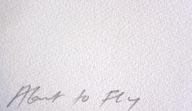 https://cdn.fairart.io/thumbnail_Tracey_Emin_About_To_Fly_3_3cd0c685c5.jpeg - 2