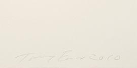 https://cdn.fairart.io/thumbnail_Tracey_Emin_At_Night_2_f7c5b8f476.jpeg - 1