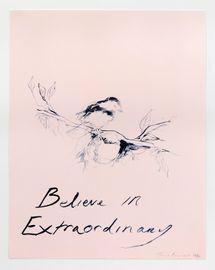 https://cdn.fairart.io/thumbnail_Tracey_Emin_Believe_In_Extraordinary_3_b581182b3f.jpeg - 2